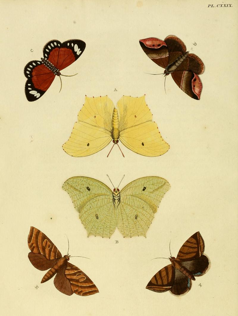 Cramer&Stoll-uitlandsche kapellen vol. 2- plate 129