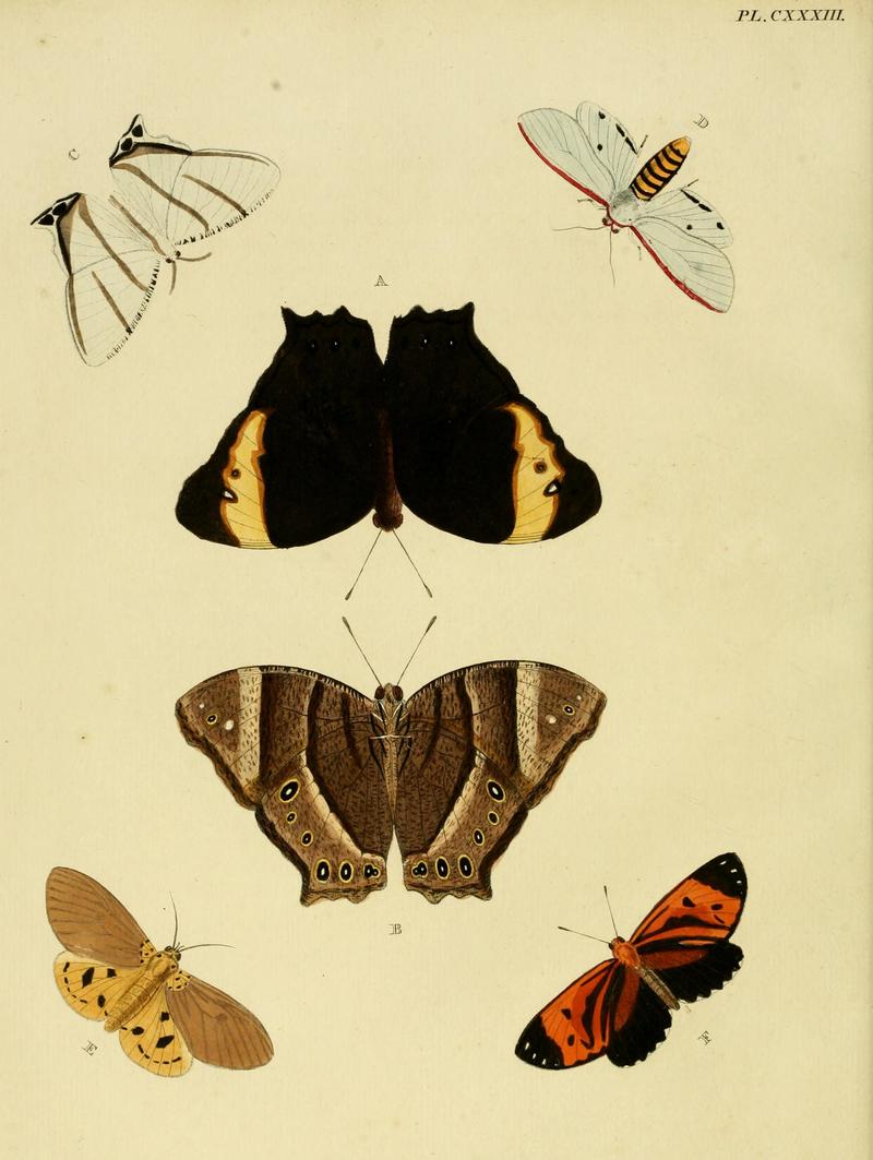 Cramer&Stoll-uitlandsche kapellen vol. 2- plate 133