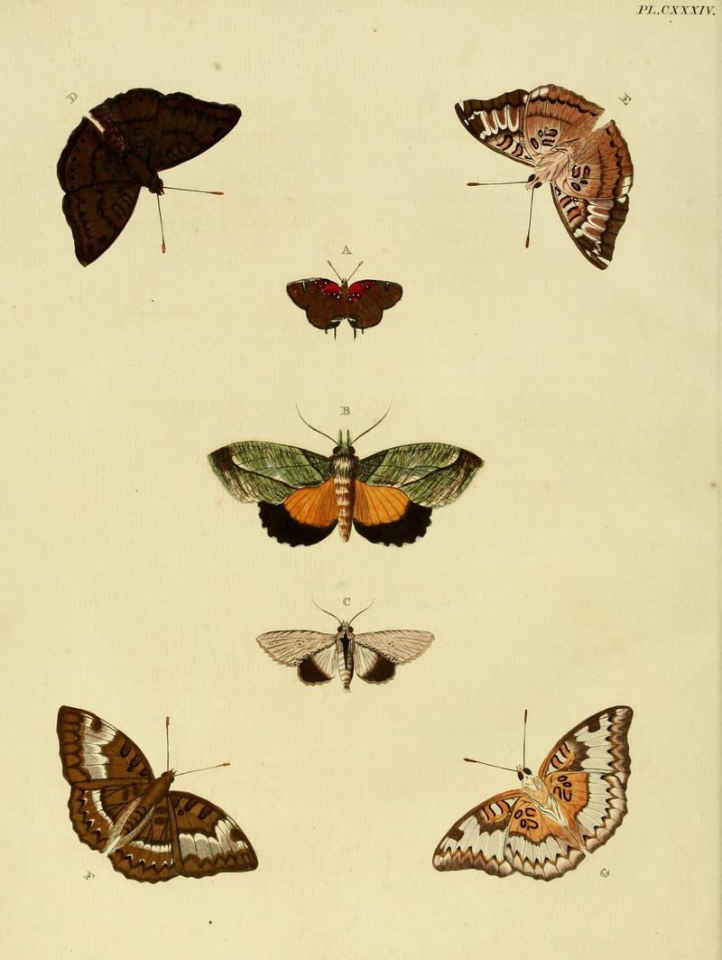 Cramer&Stoll-uitlandsche kapellen vol. 2- plate 134