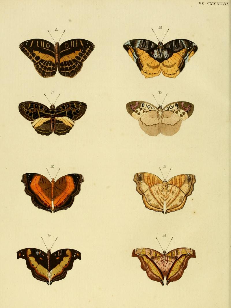 Cramer&Stoll-uitlandsche kapellen vol. 2- plate 138