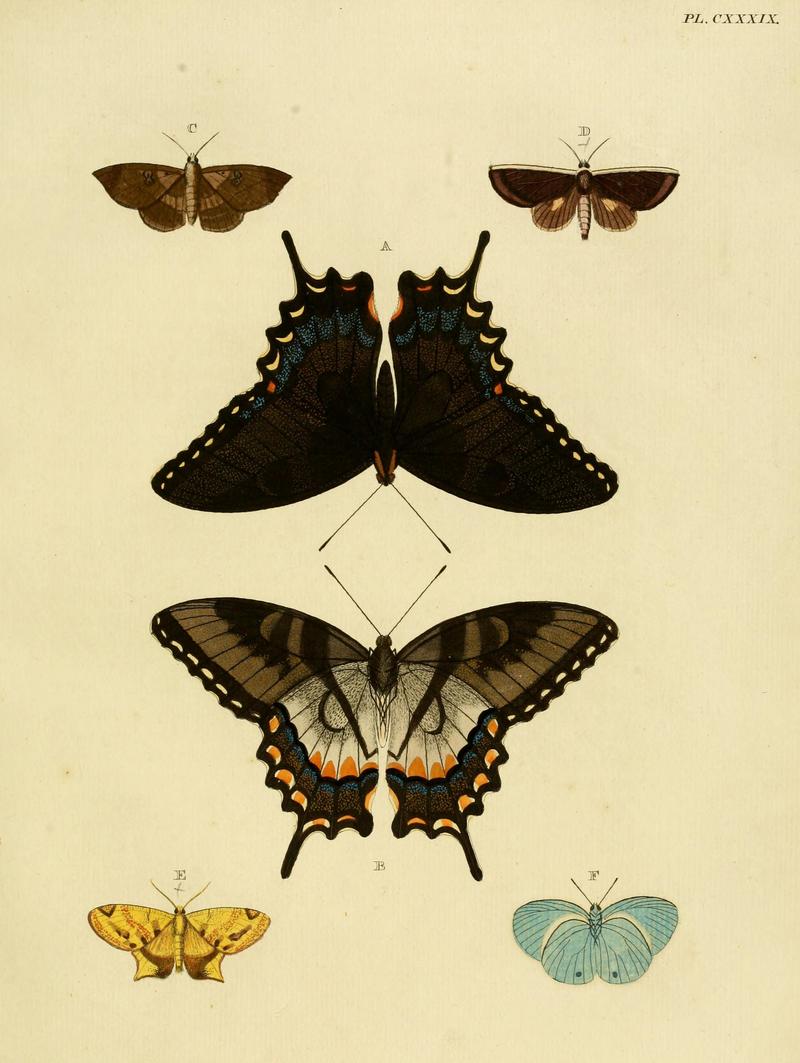 Cramer&Stoll-uitlandsche kapellen vol. 2- plate 139