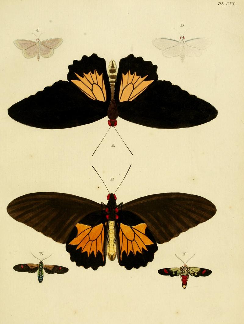 Cramer&Stoll-uitlandsche kapellen vol. 2- plate 140