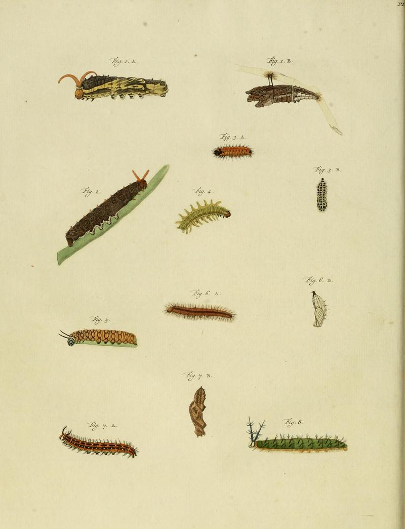 CramerAndStoll-uitlandsche kapellen supplement- pl. 01