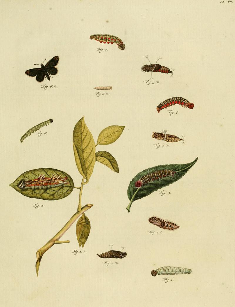 CramerAndStoll-uitlandsche kapellen supplement- pl. 07