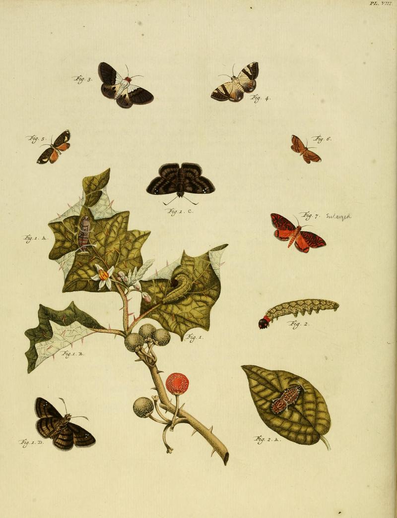 CramerAndStoll-uitlandsche kapellen supplement- pl. 08