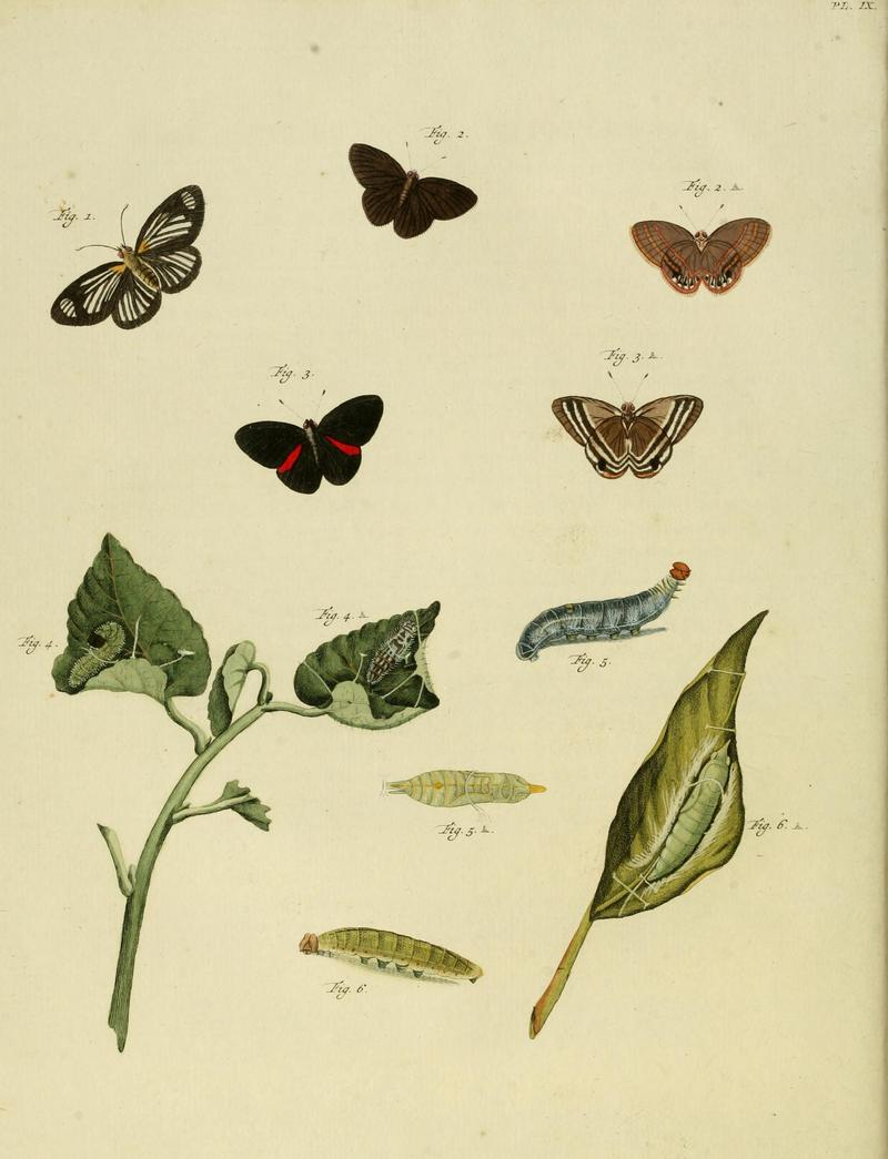 CramerAndStoll-uitlandsche kapellen supplement- pl. 09