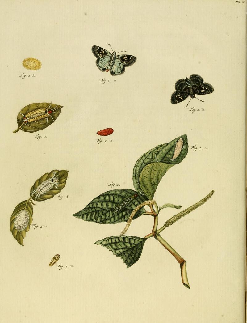 CramerAndStoll-uitlandsche kapellen supplement- pl. 10