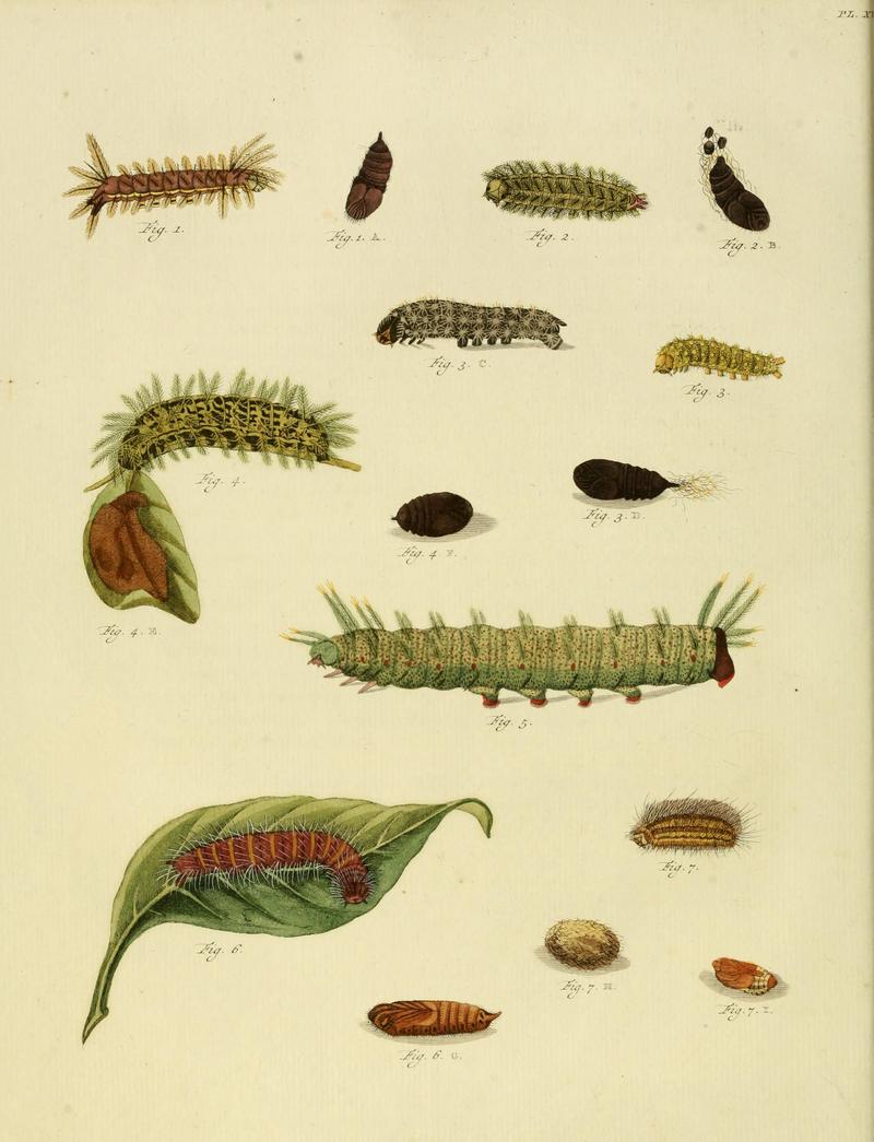 CramerAndStoll-uitlandsche kapellen supplement- pl. 17