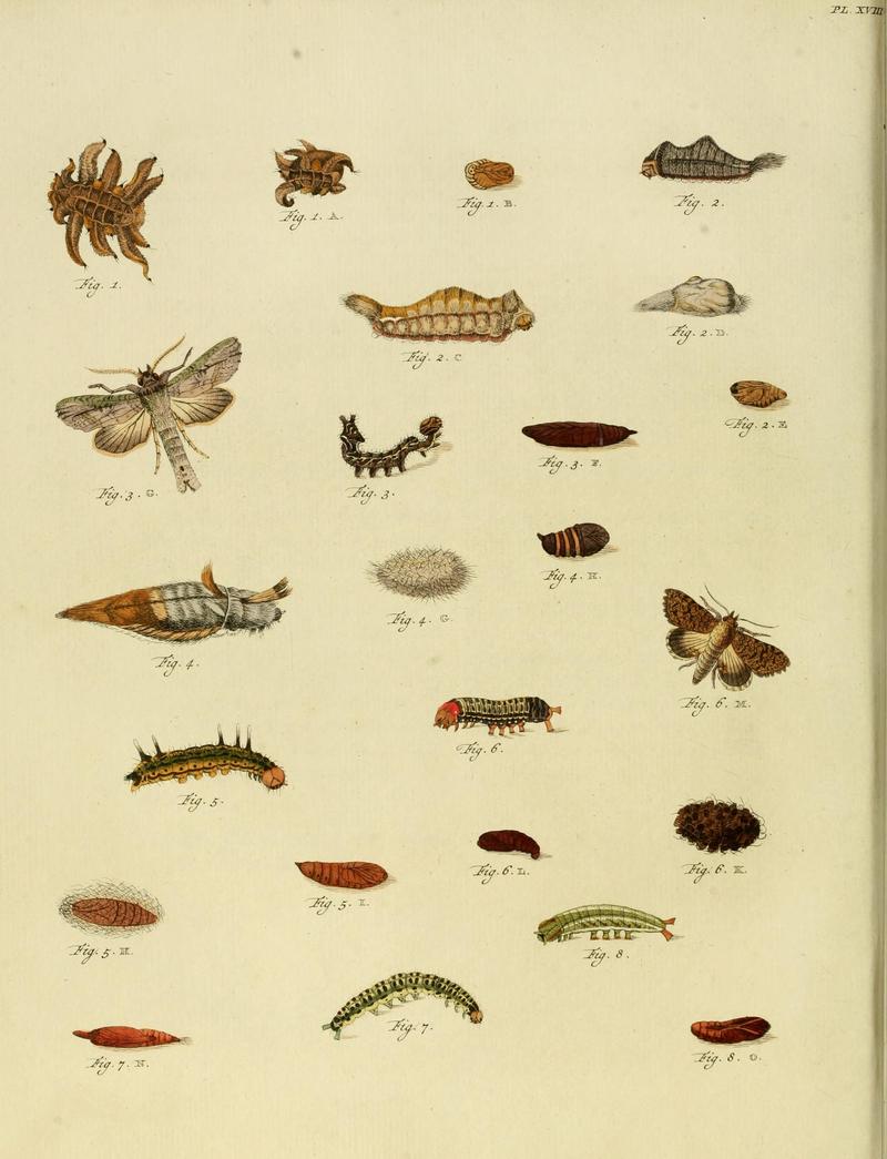 CramerAndStoll-uitlandsche kapellen supplement- pl. 18