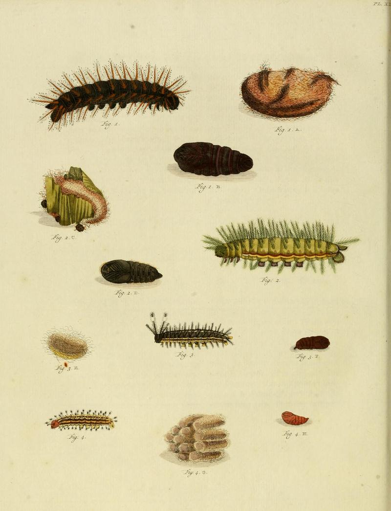 CramerAndStoll-uitlandsche kapellen supplement- pl. 20