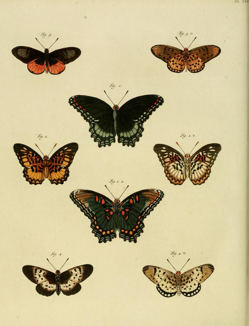 CramerAndStoll-uitlandsche kapellen supplement- pl. 25