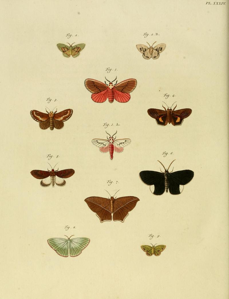 CramerAndStoll-uitlandsche kapellen supplement- pl. 34