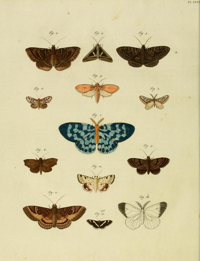 CramerAndStoll-uitlandsche kapellen supplement- pl. 36