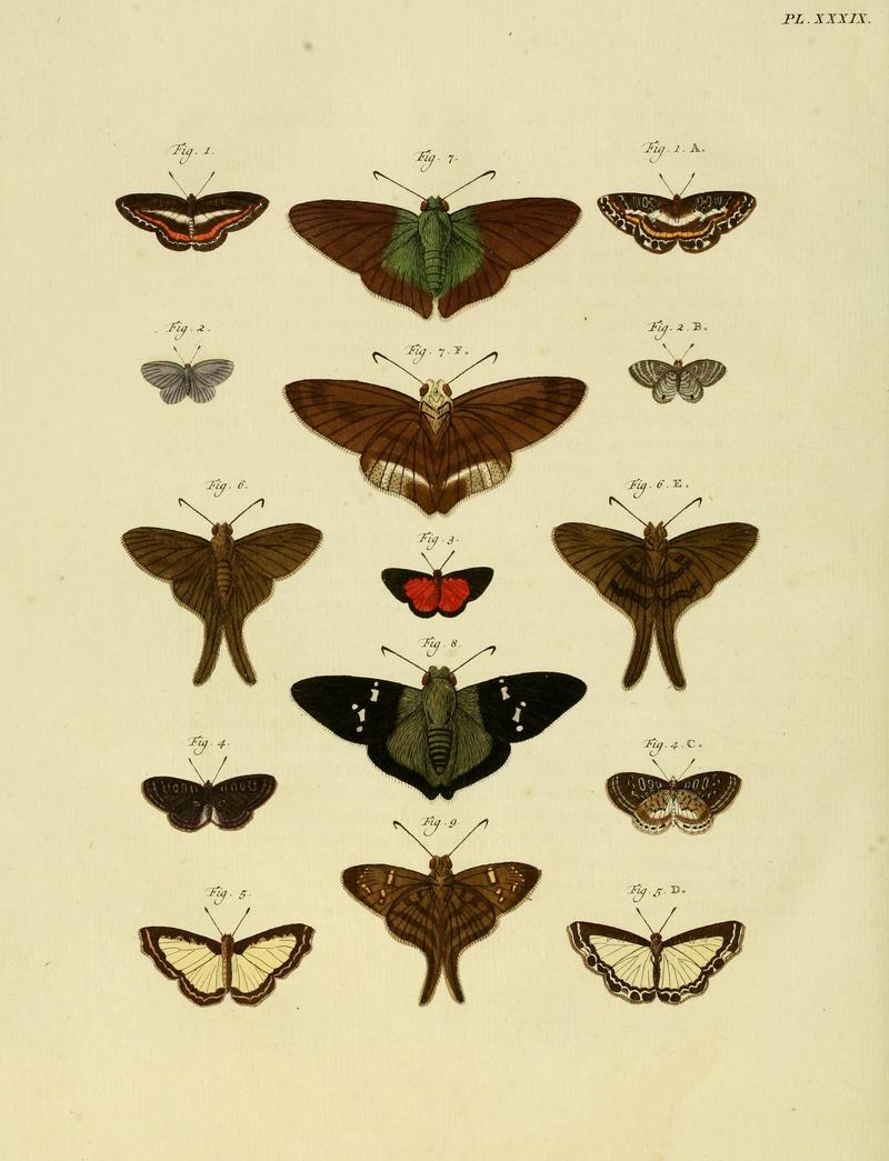 CramerAndStoll-uitlandsche kapellen supplement- pl. 39