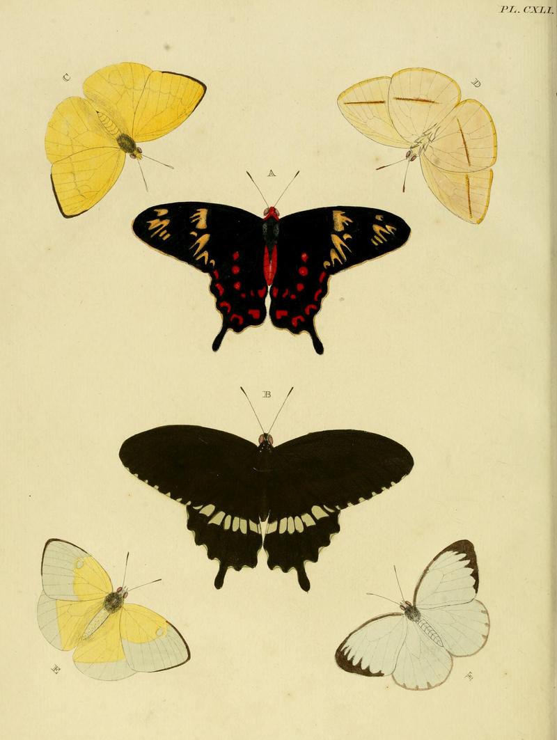 CramerAndStoll-uitlandsche kapellen vol. 2- plate 141