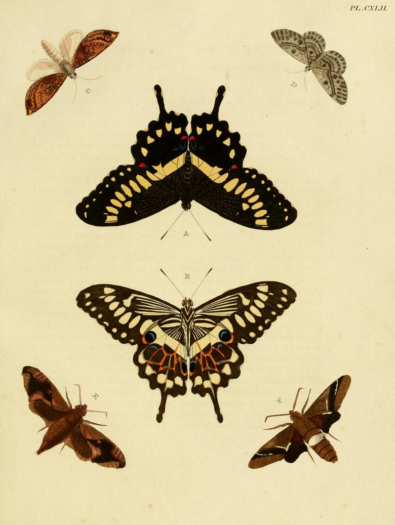 CramerAndStoll-uitlandsche kapellen vol. 2- plate 142