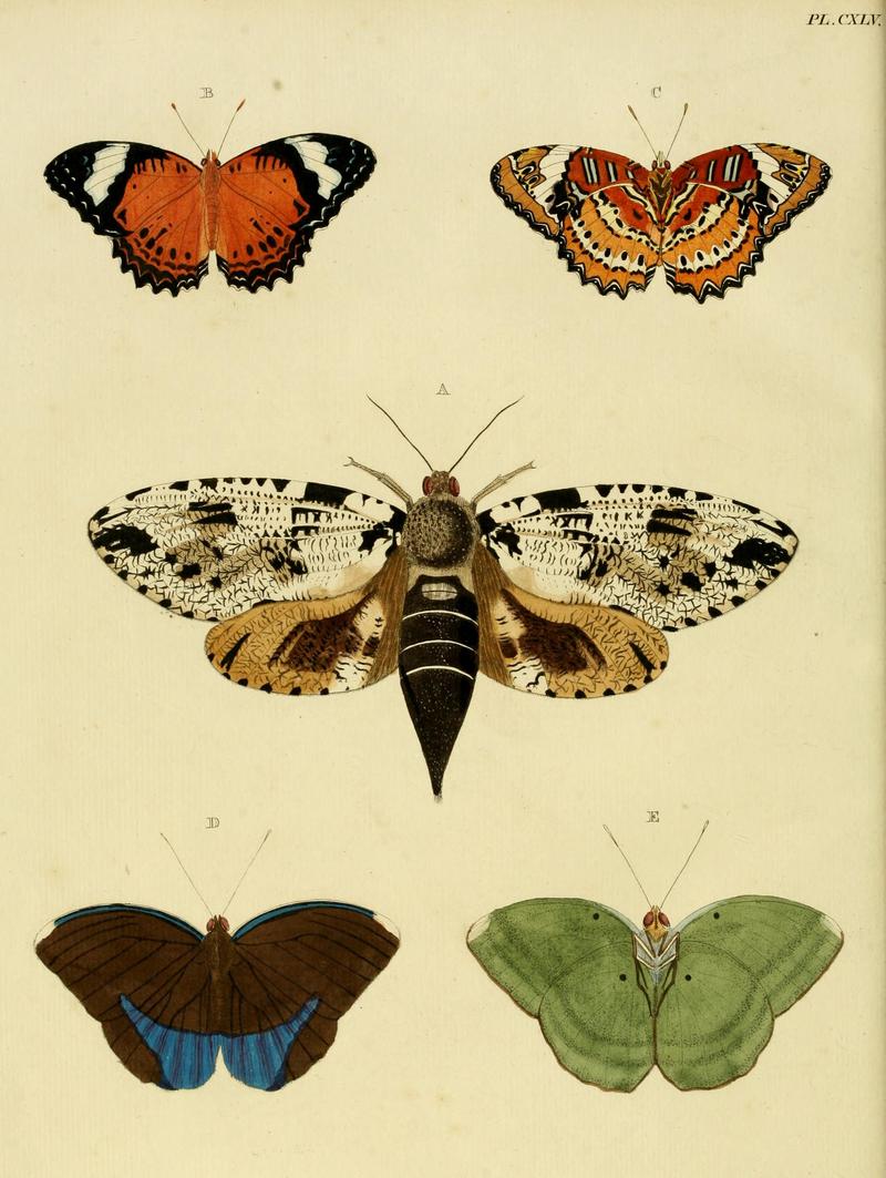 CramerAndStoll-uitlandsche kapellen vol. 2- plate 145