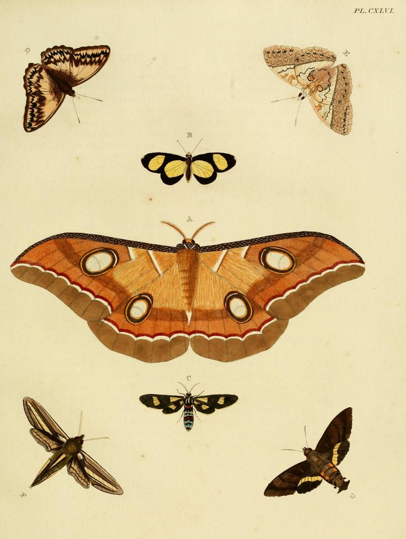 CramerAndStoll-uitlandsche kapellen vol. 2- plate 146