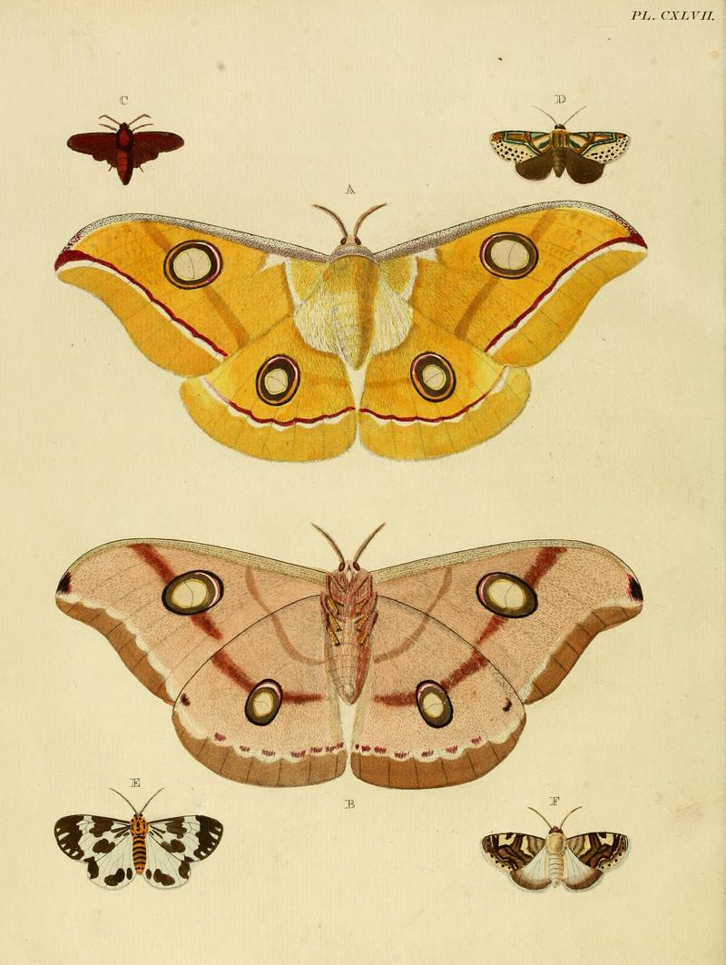 CramerAndStoll-uitlandsche kapellen vol. 2- plate 147