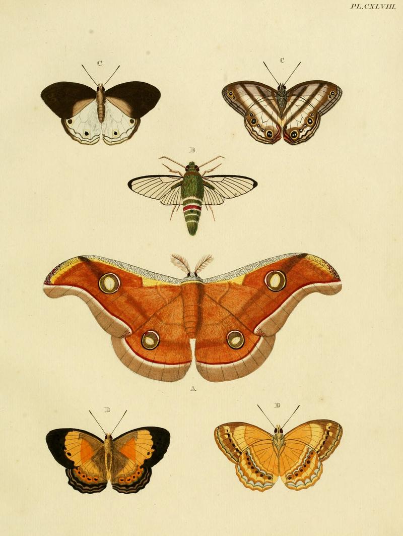 CramerAndStoll-uitlandsche kapellen vol. 2- plate 148