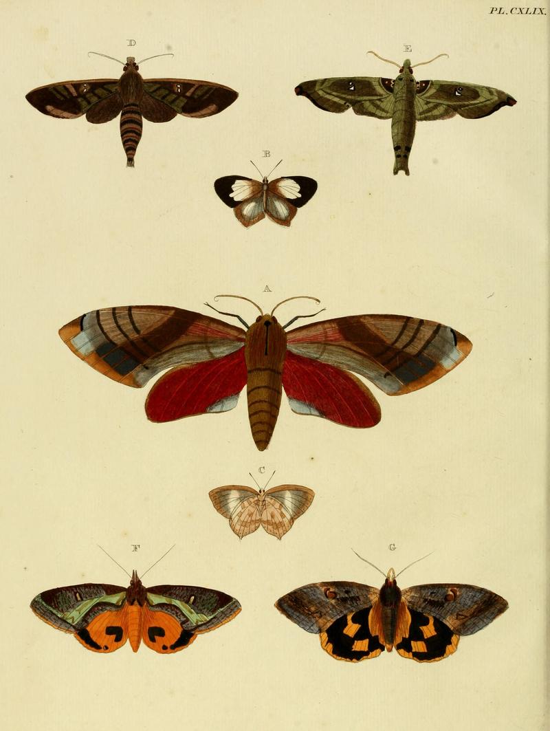 CramerAndStoll-uitlandsche kapellen vol. 2- plate 149