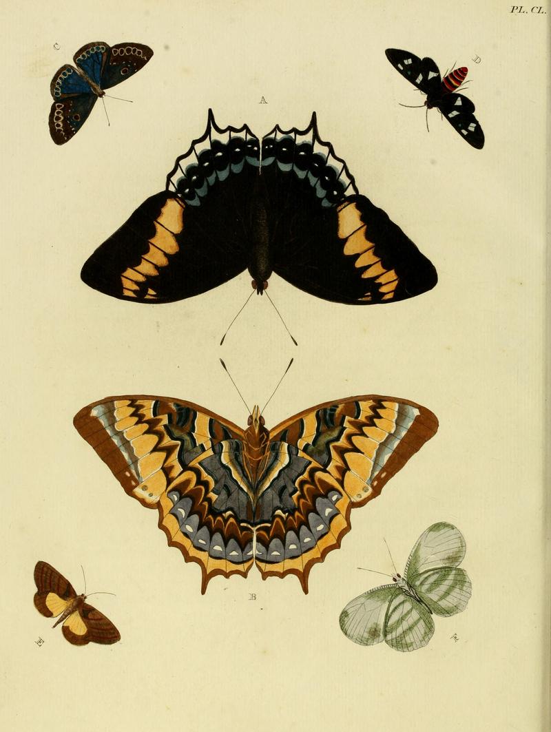 CramerAndStoll-uitlandsche kapellen vol. 2- plate 150