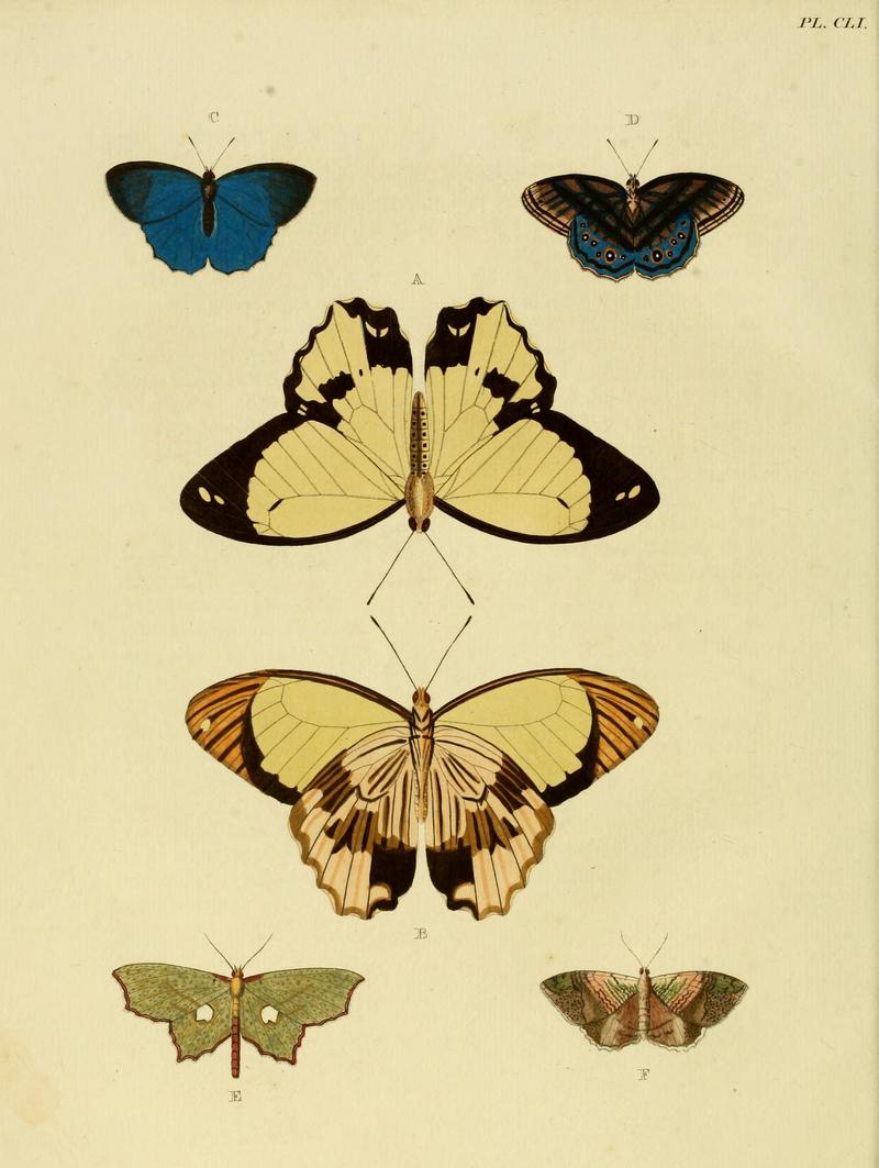 CramerAndStoll-uitlandsche kapellen vol. 2- plate 151