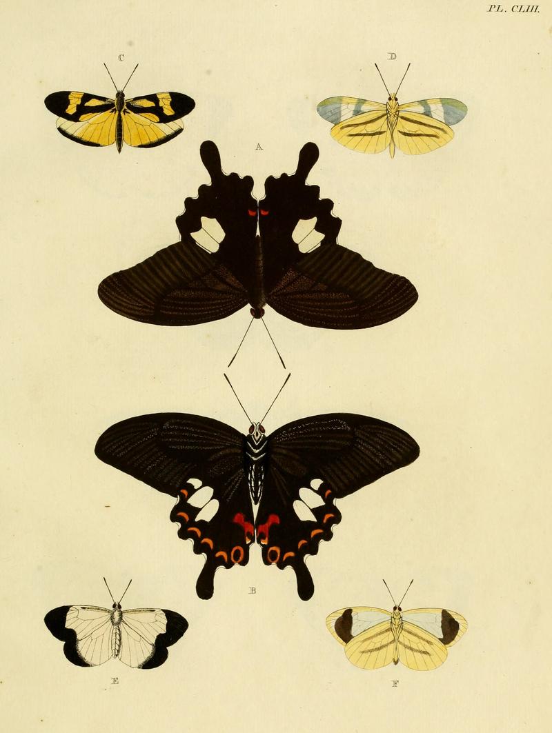 CramerAndStoll-uitlandsche kapellen vol. 2- plate 153