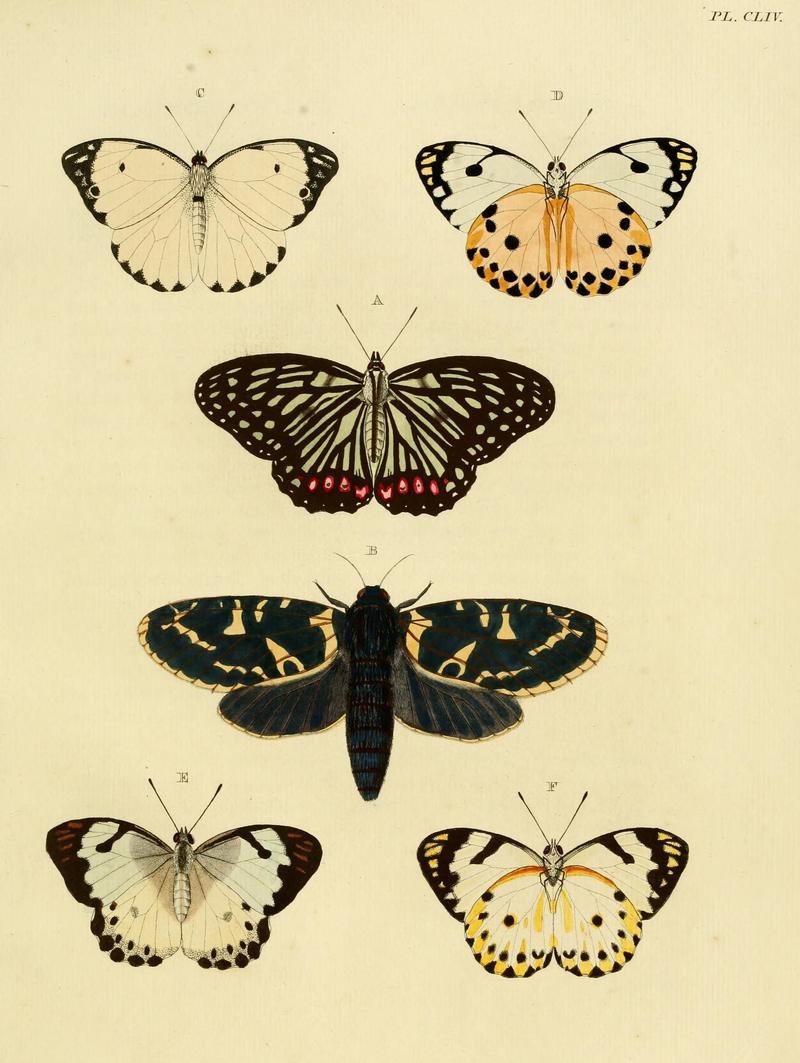 CramerAndStoll-uitlandsche kapellen vol. 2- plate 154
