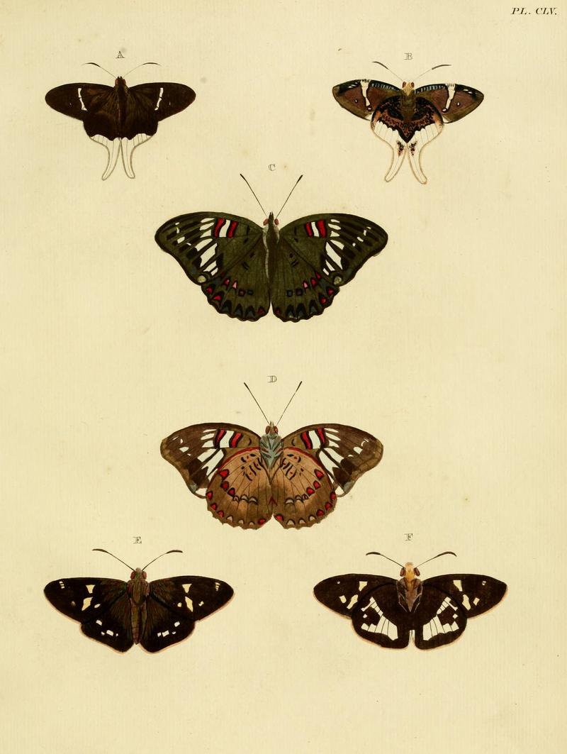 CramerAndStoll-uitlandsche kapellen vol. 2- plate 155