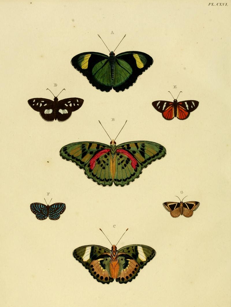 CramerAndStoll-uitlandsche kapellen vol. 2- plate 156