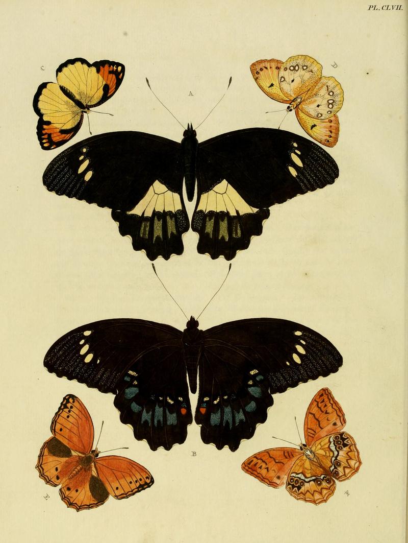 CramerAndStoll-uitlandsche kapellen vol. 2- plate 157