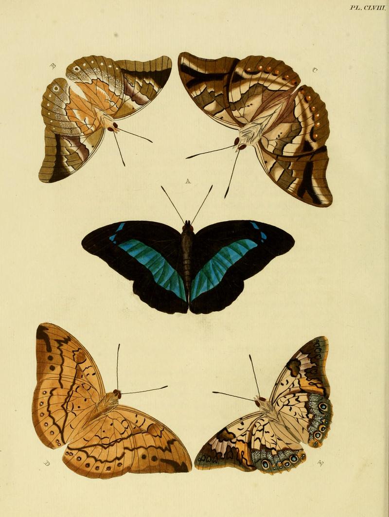 CramerAndStoll-uitlandsche kapellen vol. 2- plate 158
