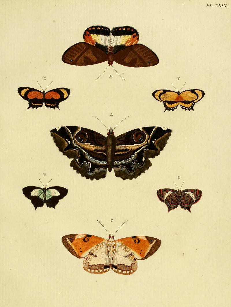 CramerAndStoll-uitlandsche kapellen vol. 2- plate 159
