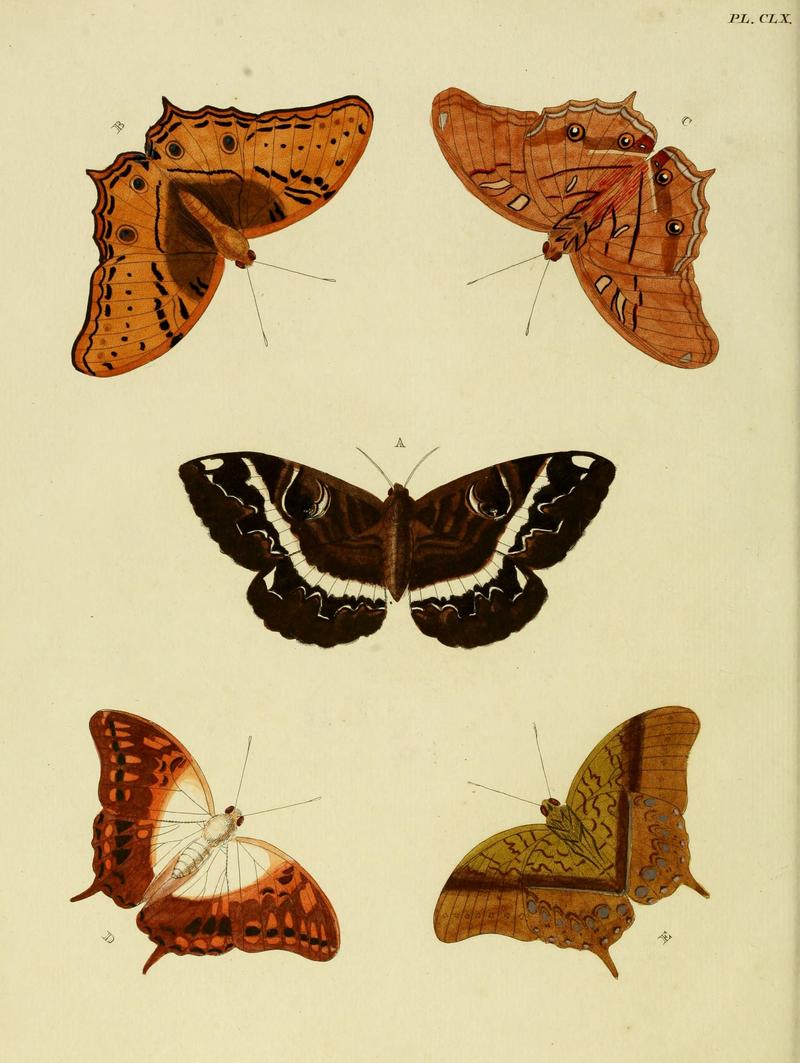 CramerAndStoll-uitlandsche kapellen vol. 2- plate 160