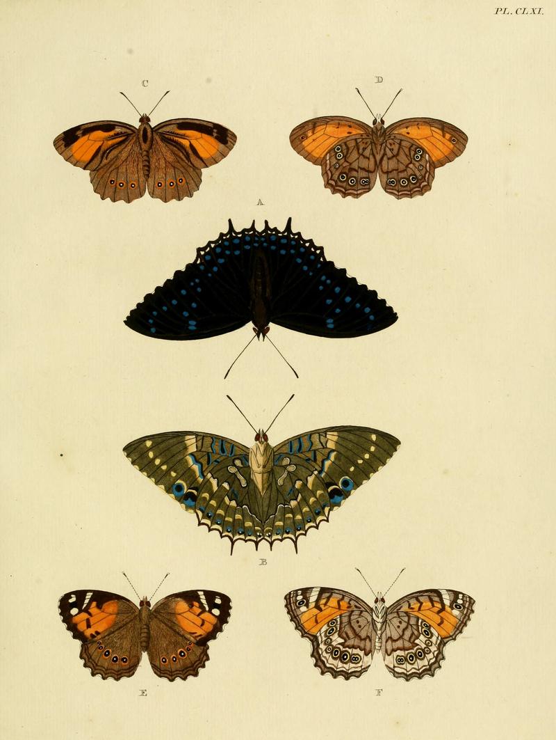 CramerAndStoll-uitlandsche kapellen vol. 2- plate 161