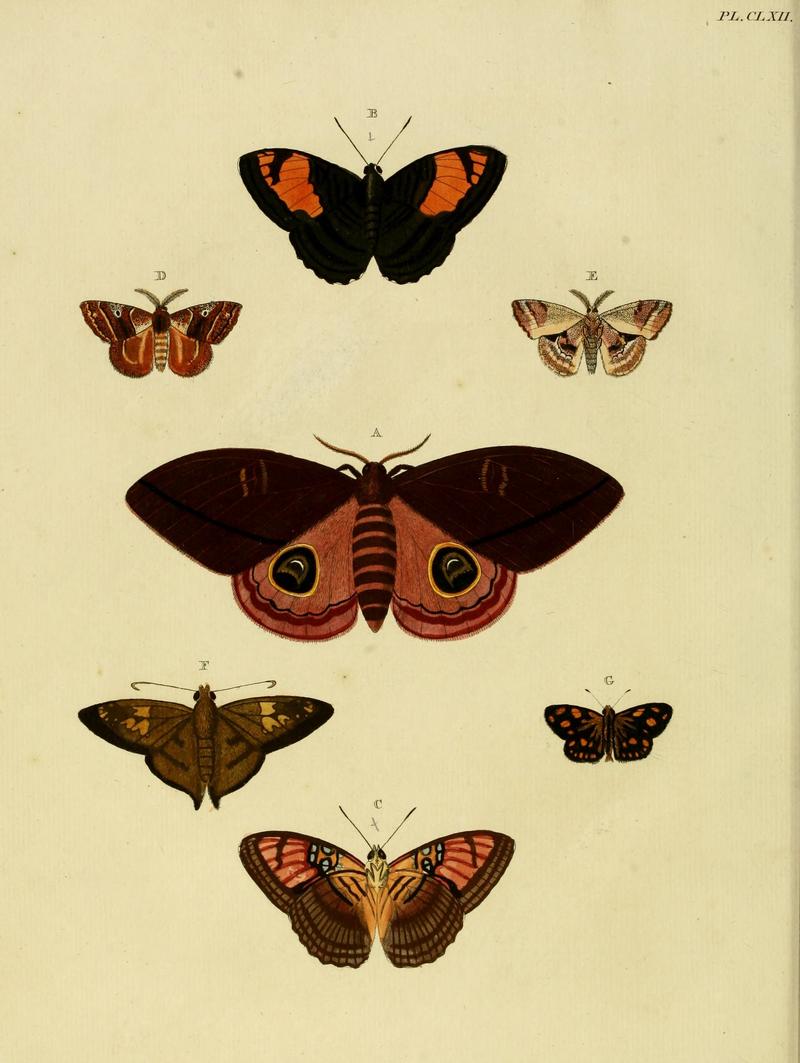 CramerAndStoll-uitlandsche kapellen vol. 2- plate 162