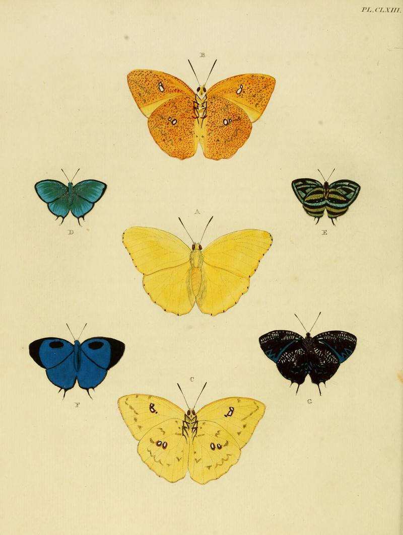 CramerAndStoll-uitlandsche kapellen vol. 2- plate 163