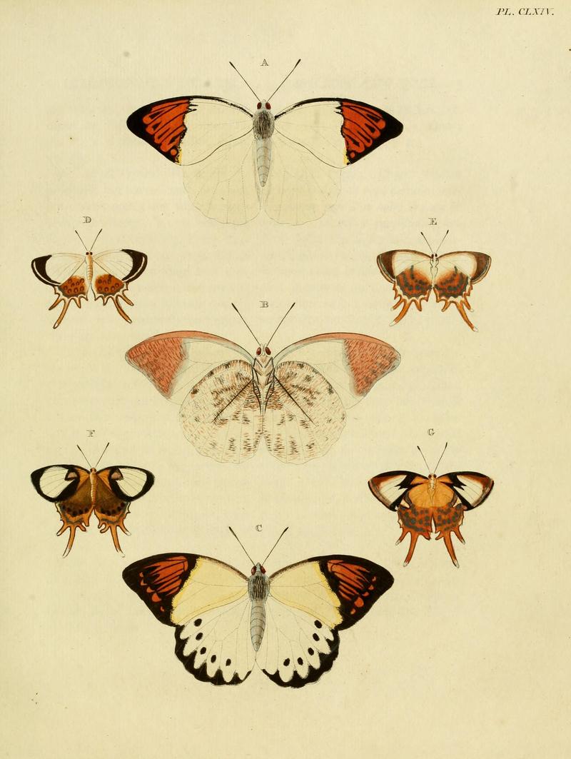CramerAndStoll-uitlandsche kapellen vol. 2- plate 164