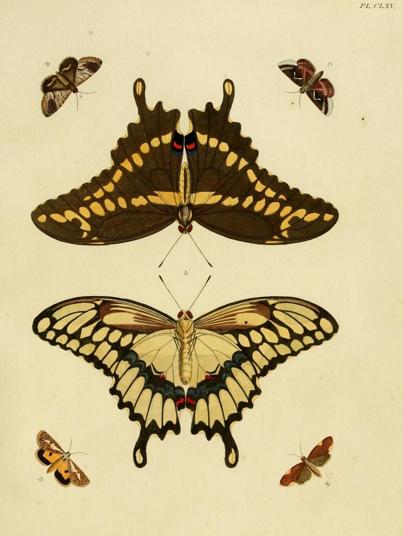 CramerAndStoll-uitlandsche kapellen vol. 2- plate 165