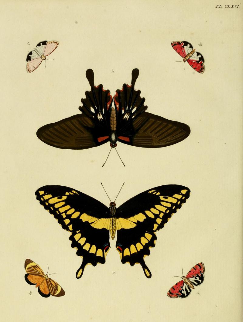 CramerAndStoll-uitlandsche kapellen vol. 2- plate 166