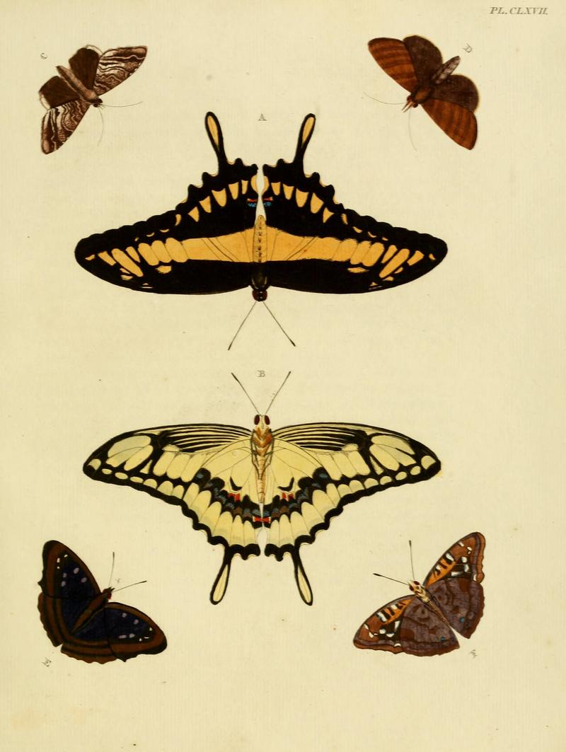 CramerAndStoll-uitlandsche kapellen vol. 2- plate 167