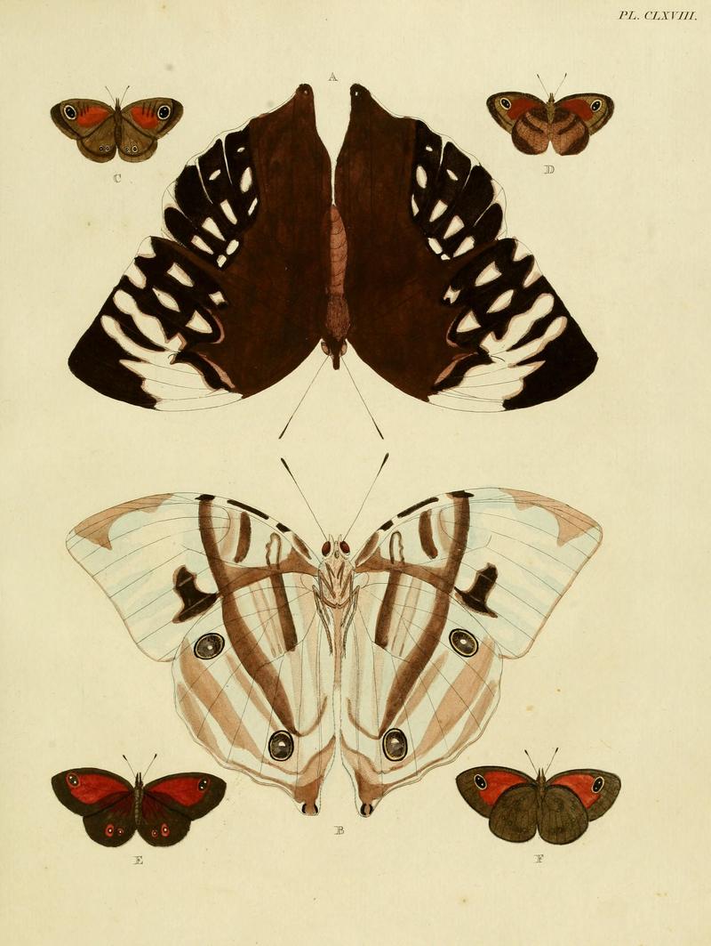CramerAndStoll-uitlandsche kapellen vol. 2- plate 168