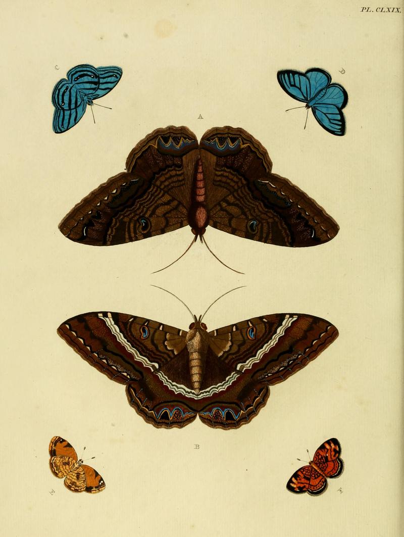 CramerAndStoll-uitlandsche kapellen vol. 2- plate 169