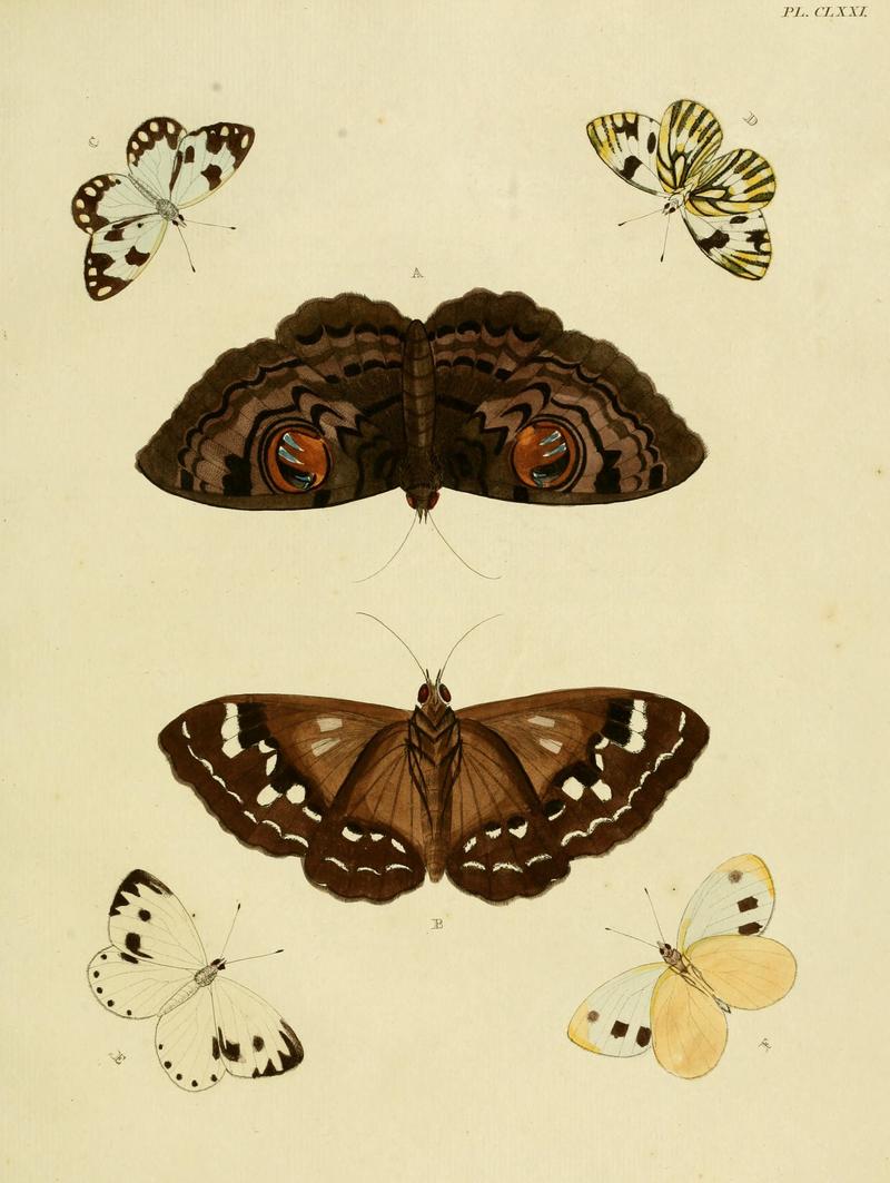 CramerAndStoll-uitlandsche kapellen vol. 2- plate 171