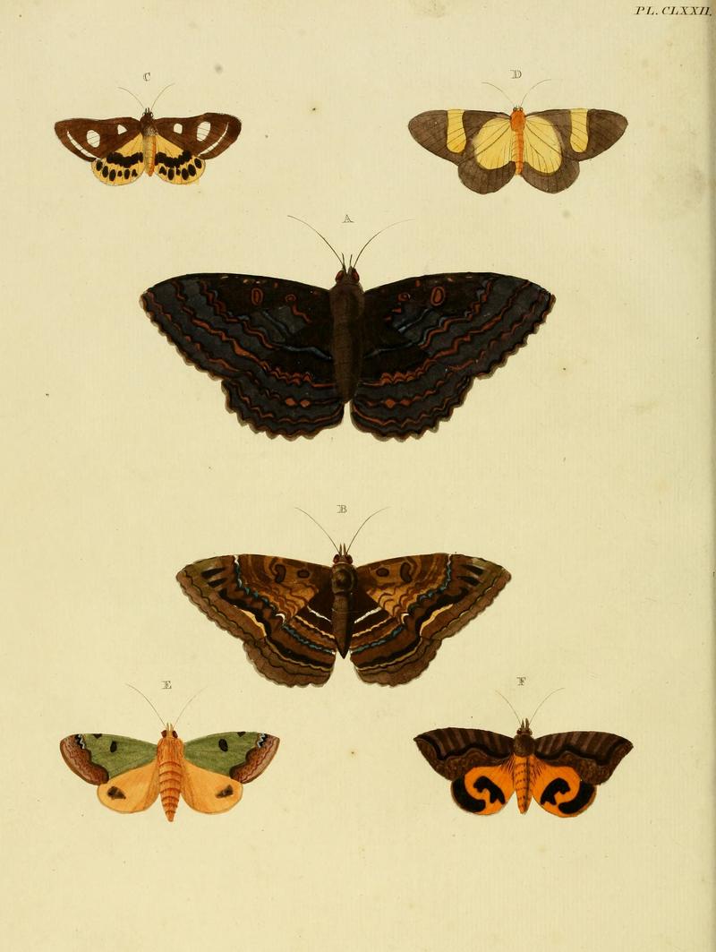 CramerAndStoll-uitlandsche kapellen vol. 2- plate 172
