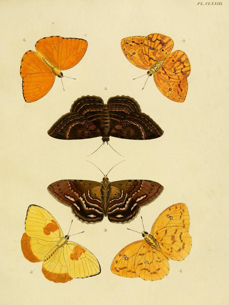 CramerAndStoll-uitlandsche kapellen vol. 2- plate 173