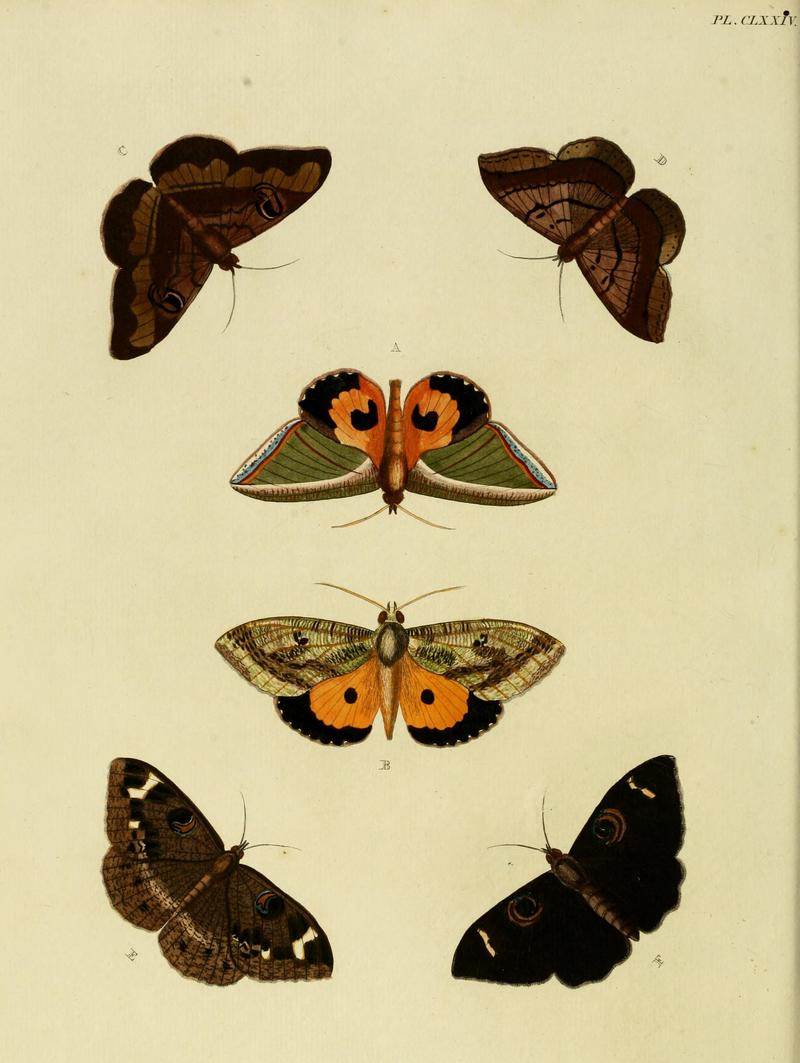CramerAndStoll-uitlandsche kapellen vol. 2- plate 174