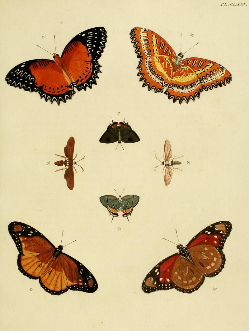 CramerAndStoll-uitlandsche kapellen vol. 2- plate 175