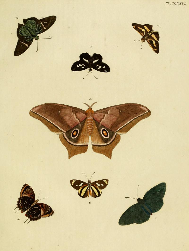 CramerAndStoll-uitlandsche kapellen vol. 2- plate 176